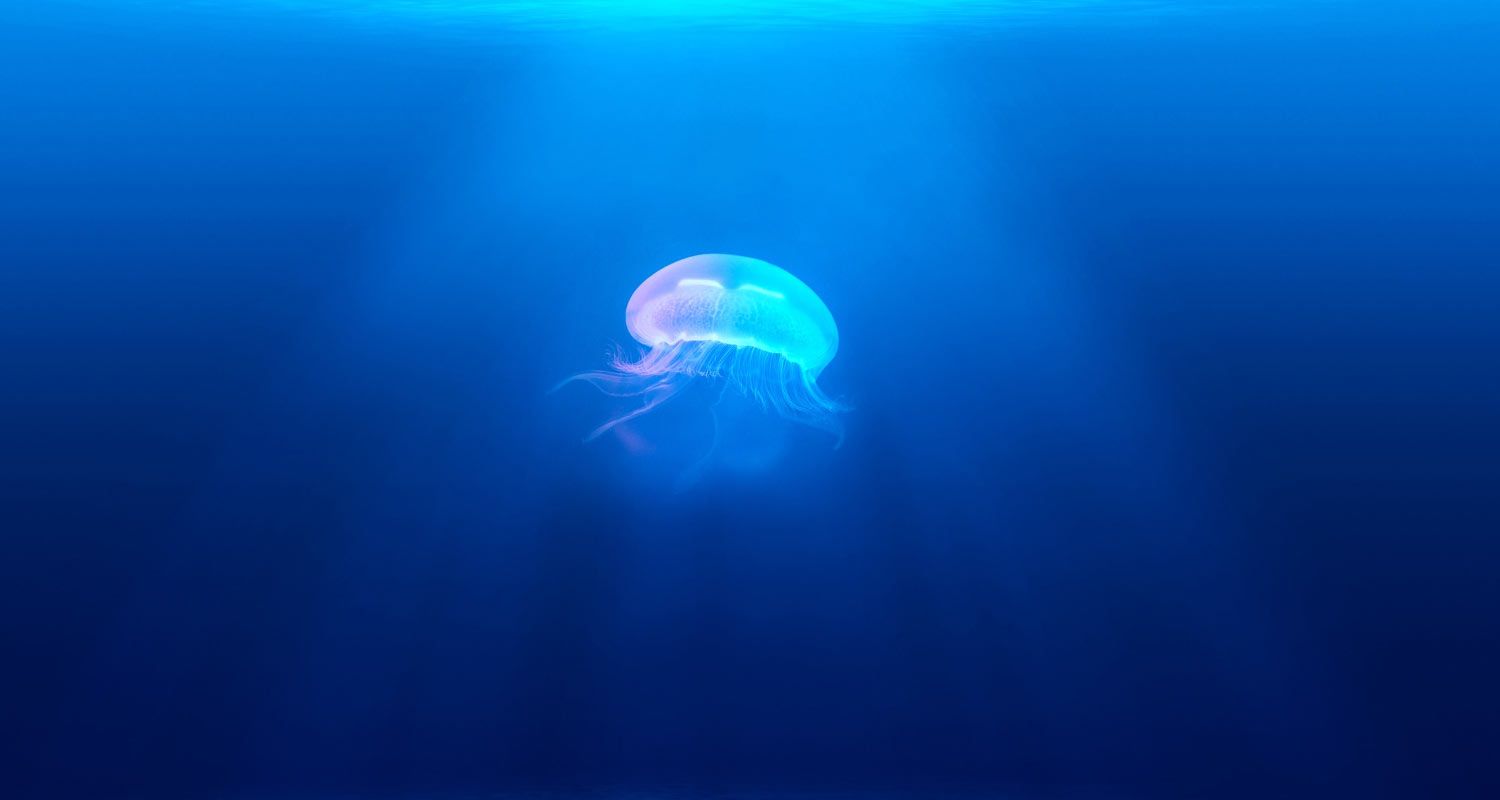 blog-image_9x
